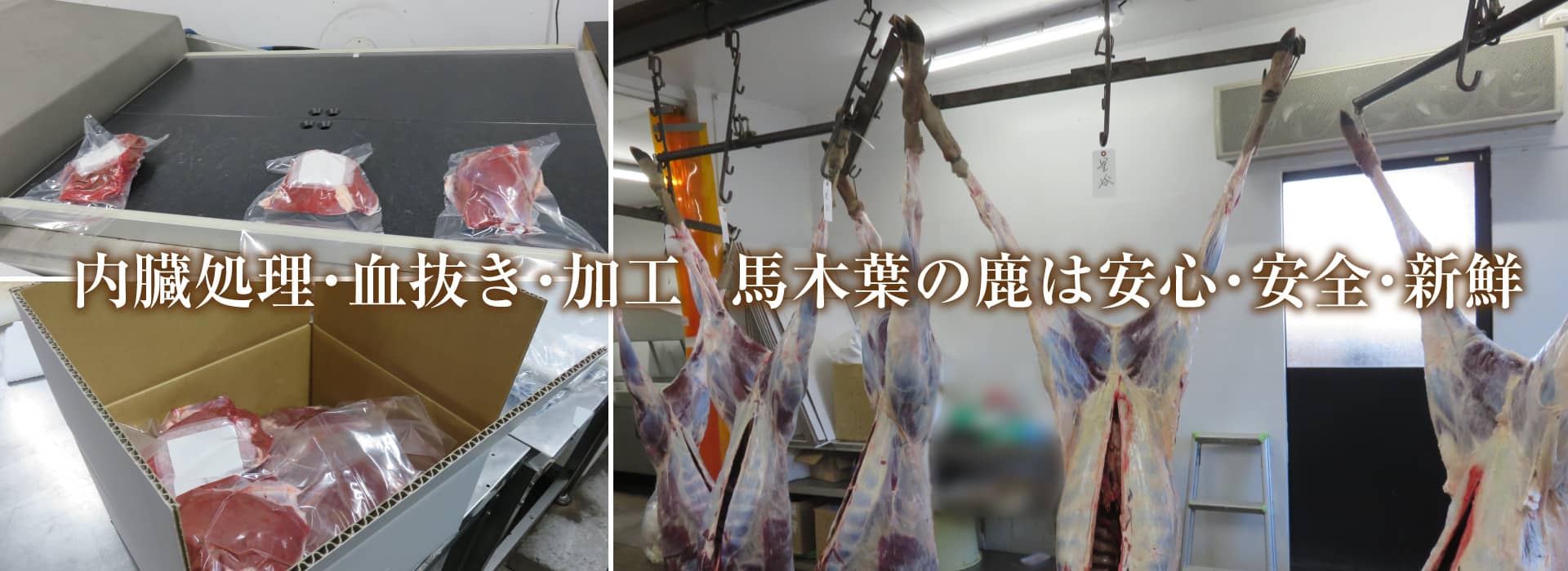 内蔵処理・血抜き・加工 馬木葉の鹿は安心・安全・新鮮